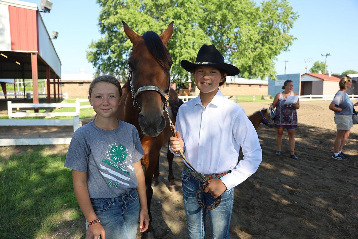 4-h horse 2.JPG
